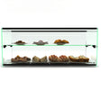 Sayl ADS0036 Ambient Display Two Tier 920mm